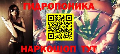шишки Среднеуральск